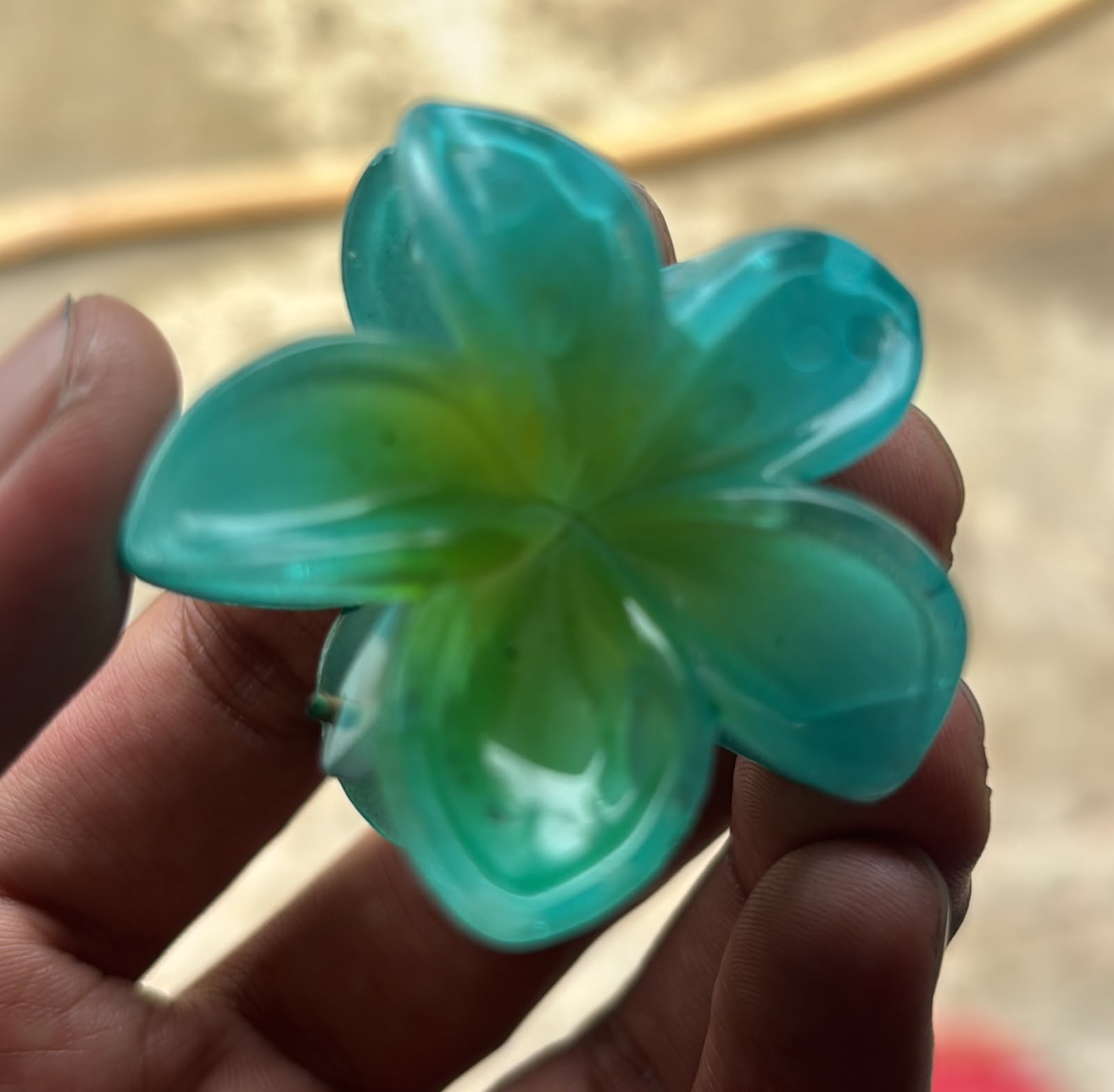 Her hair clip — my lucky charm